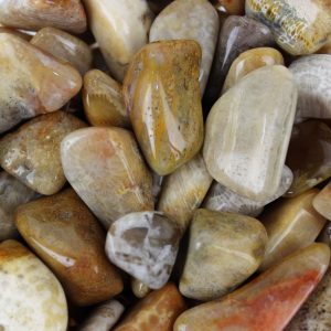 Chakra Stone Agatized Coral Reiki Healing Gift Tumbled Gemstone Medium Single