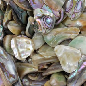 Chakra Stone Abalone Shell Reiki Healing Gift Tumbled Small/ Fragments Bag of 50