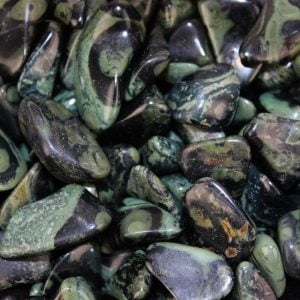 Chakra Stone Kambaba Jasper Reiki Healing Gift Tumbled Gemstone Small Single