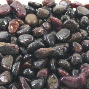 Chakra Stone Charm Garnet Reiki Healing Gift Tumbled Gemstone Small Single