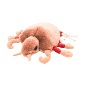 Giant Microbes Crabs Pubic Louse Educational Plush Toy Original Soft Gift 14cm