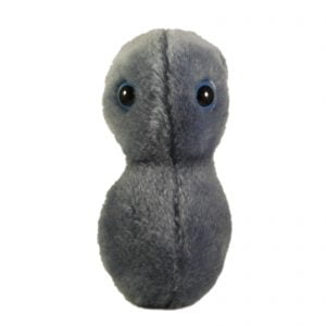 Giant Microbes The Clap Gonorrhoea STI Plush Toy Soft Body Educational Gift 15cm
