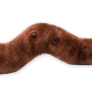 Giant Microbes Diarrhea Bacteria Original Plush Soft Toy Educational Gift 24cm