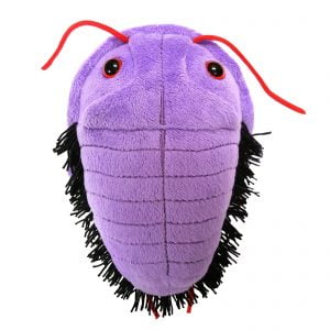 Giant Microbes Trilobite Prehistoric Educational Plush Toy Original Soft 14cm